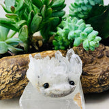 Crystal Quartz Hedgehog Pet (ADOPT ME PLEASE) 🥰