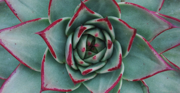 Five Powerful Crystal Grid Formations