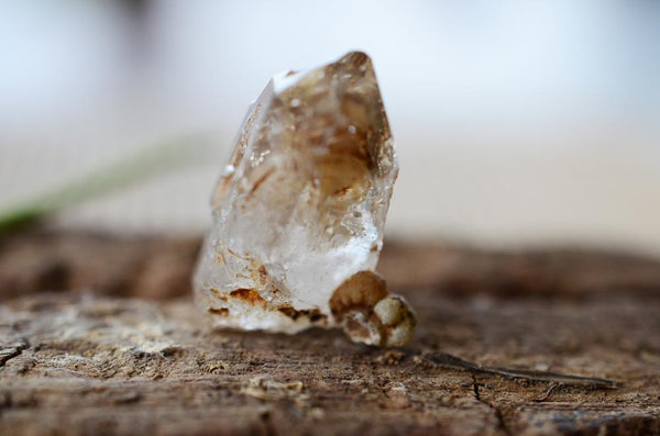 Smoky Elestial Quartz Meaning And Spiritual Properties