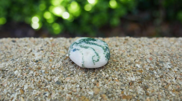 Tree Agate Meaning And Spiritual Properties