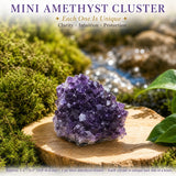 Lítill Amethyst þyrping