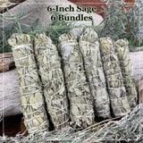 6-Inch Sage Bundles