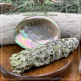 Smudge Kit: Sage (6-Inch) + Abalone Shell