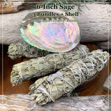 Smudge Kit: Sage (6-Inch) + Abalone Shell