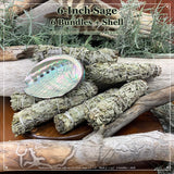 Smudge Kit: Sage (6-Inch) + Abalone Shell