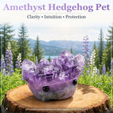 Crystal Ametyst Hedgehog Pet (ADOPT MIG VENLIGST) 🥰
