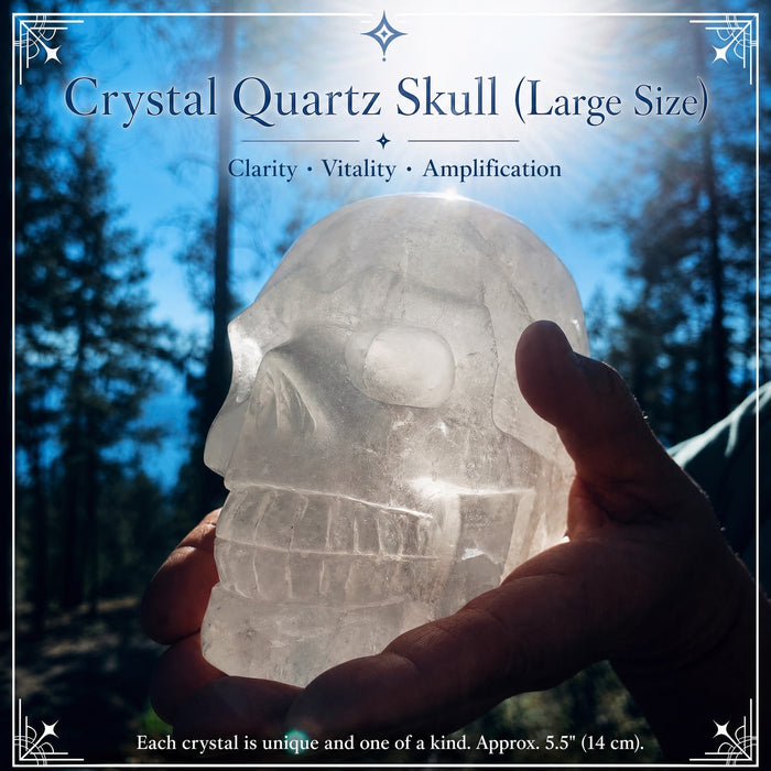 Crâne de quartz en cristal (grande taille)