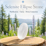 Ensemble de purification de sélénite 3 pièces