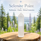 Ensemble de purification de sélénite 3 pièces