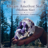 Dream Amethyst höfuðkúpa (meðalstærð)