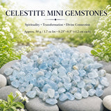 Celestite Mini gimsteinar (50 grömm / 1,7 oz lota)