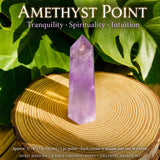 8-Piece Amethyst Point & Shards Set