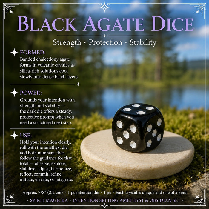 Black agate die with white pips on a stone slab by a lake