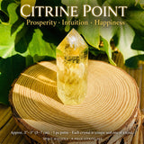 Riqueza Citrina e Abundância Conjunto de 9 Cristais