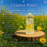 Joyful Citrine + Coffret de cristaux Alliés