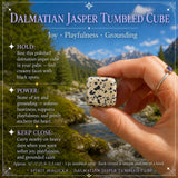 Dalmatiner-Jaspis-Trommelwürfel
