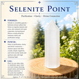 Ensemble de purification de sélénite 3 pièces