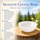 Ensemble de purification de sélénite 3 pièces