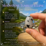 Mondstein Trommelstein Ellipse