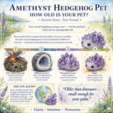 Crystal Ametyst Hedgehog Pet (ADOPT MIG VENLIGST) 🥰