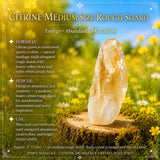 Citrine Abundance kristalpokasett