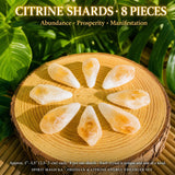 Obsidian & Citrine Energy Enhancer Set