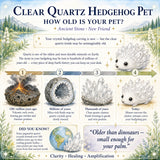 Crystal Quartz Hedgehog Pet (ADOPT MIG PLEASE) 🥰