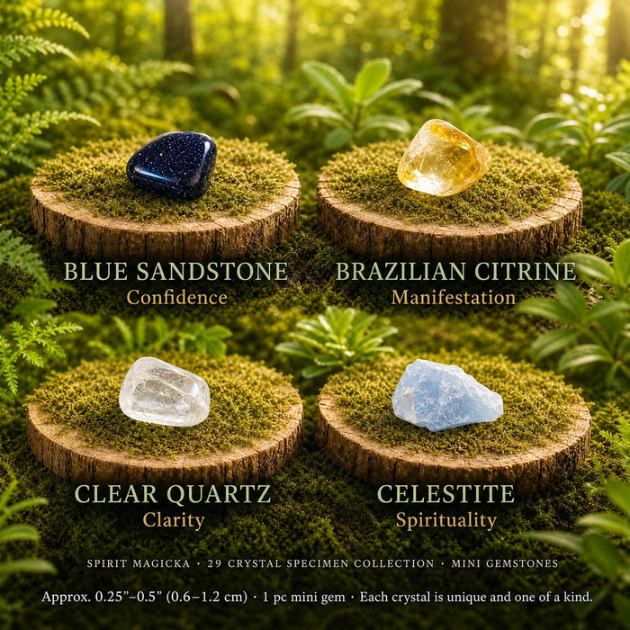 Mini blue sandstone, Brazilian citrine, clear quartz and celestite on moss-topped wood slices