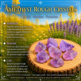 Radiant Wellness & Wealth kristalpokasett