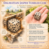 Dalmatiner-Jaspis-Trommelwürfel