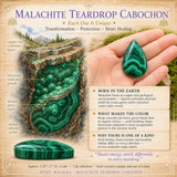 Malachite Teardrop Cabochon