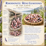 Rhodonite lítill gimsteinar (50 grömm / 1,7 oz. lota)