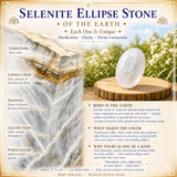 Ensemble de purification de sélénite 3 pièces