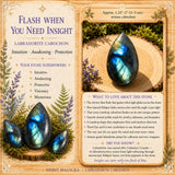 Cabochon Labradorite