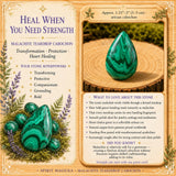 Malachite Teardrop Cabochon
