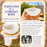 Ensemble de purification de sélénite 3 pièces