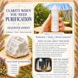 Ensemble de purification de sélénite 3 pièces
