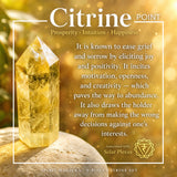 Riqueza Citrina e Abundância Conjunto de 9 Cristais