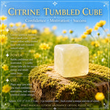 Citrine Abundance kristalpokasett
