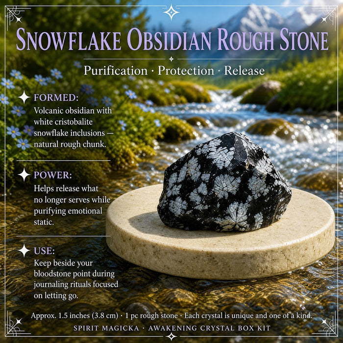 Rough black snowflake obsidian with white flower-like spots
