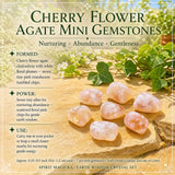 Earth Wisdom Crystal Set
