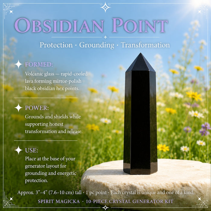 Glossy black obsidian point on a stone in a meadow