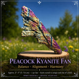 Crystal Magicka Masterclass : Crystal Course - 75% RABAT