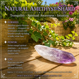 Earth Wisdom Crystal Set