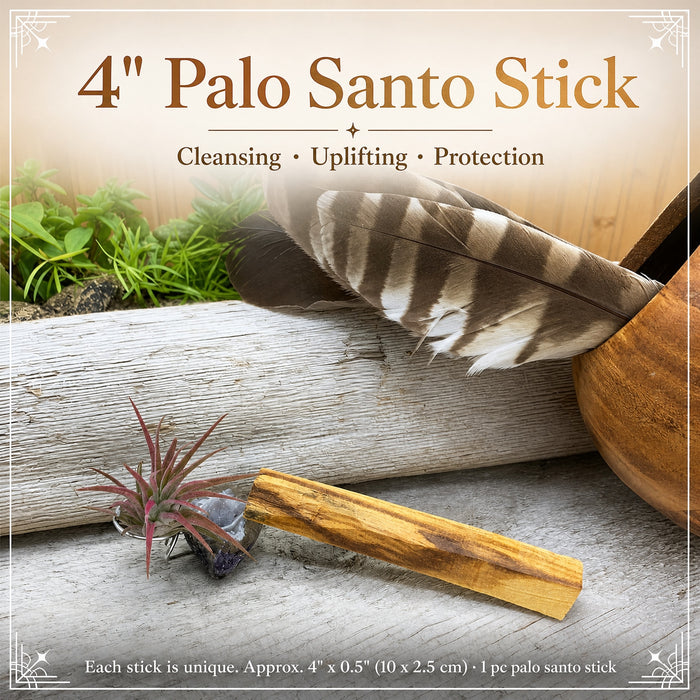 Single palo santo wood stick on weathered driftwood
