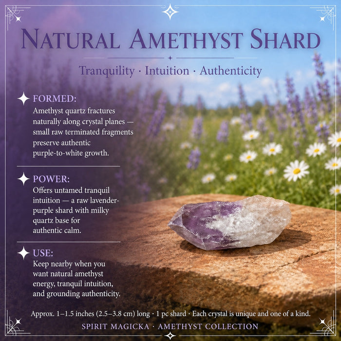 A small raw amethyst shard, purple at the point and milky white at the base, resting on a stone