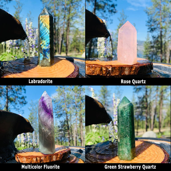 16-delni komplet generatorja Crystal Classic