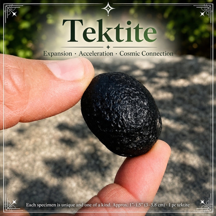 Black textured tektite held between finger and thumb