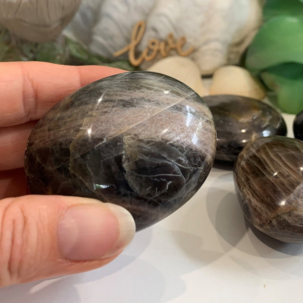 Black Moonstone Palmstone ZMAGOVALEC! - (Samo plačajte stroške pošiljanja)