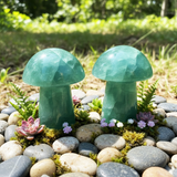 Grænn flúorít sveppir